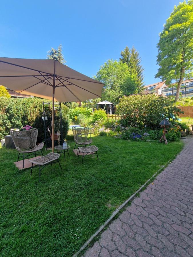 Hotel Elisabeth Ilse Braunlage Extérieur photo