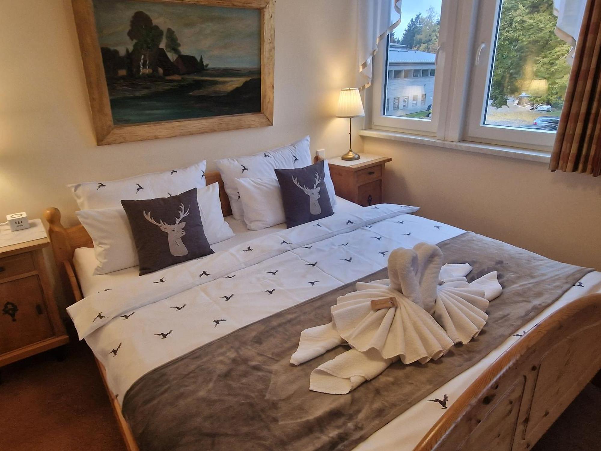 Hotel Elisabeth Ilse Braunlage Extérieur photo